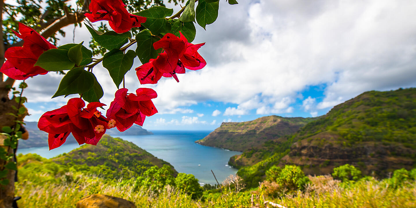 Polynesia