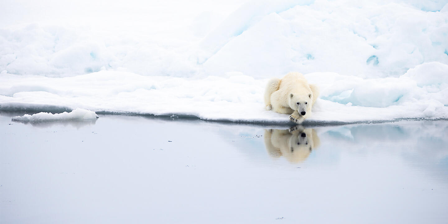 European Arctic