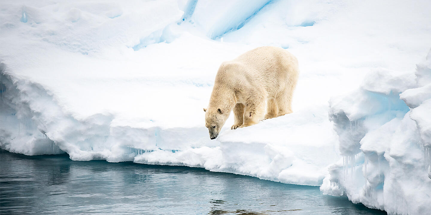 European Arctic